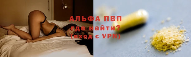 прущие крисы Богданович